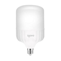 Foco led Alta Potencia T100 30W 6500K Luz Fría